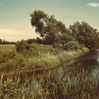 Putney Slough.jpg
